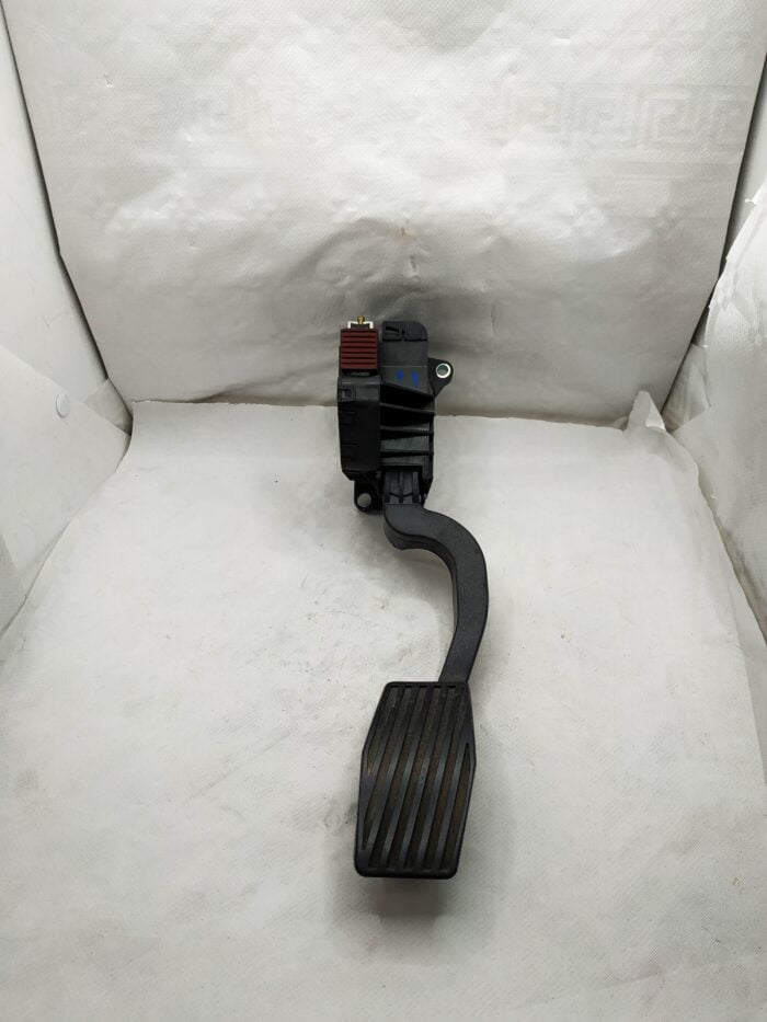 Pedal acelerador Fiat Punto (199) 2008 motor D-199A2000