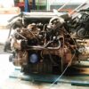 Motor completo Citroën Xsara 1.9TD 95CV Diesel 1999