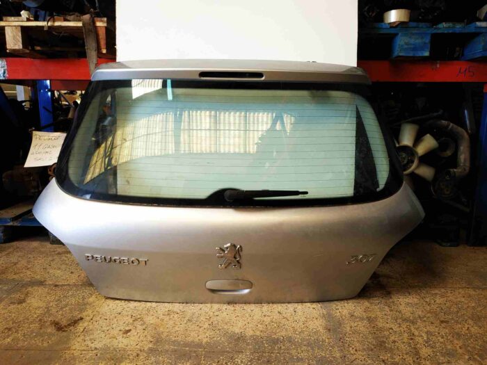 Porta traseira Peugeot 307 cinza