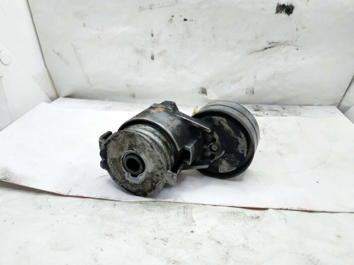 Tensor de correia auxiliar Renault Megane II Classic