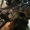 Caixa de câmbio Nissan Micra K11 gasolina 1.0 I 16V 54CV 1999