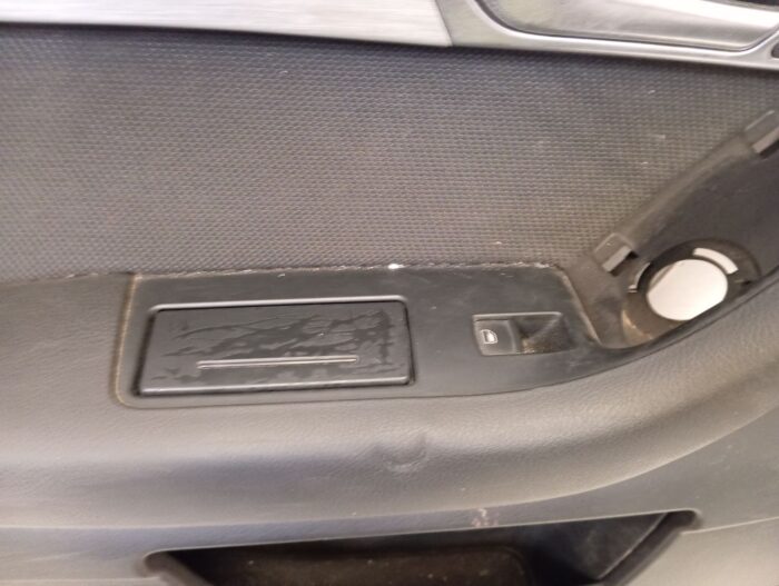 Panel de puerta trasero izquierdo Audi A6 Avant 2004