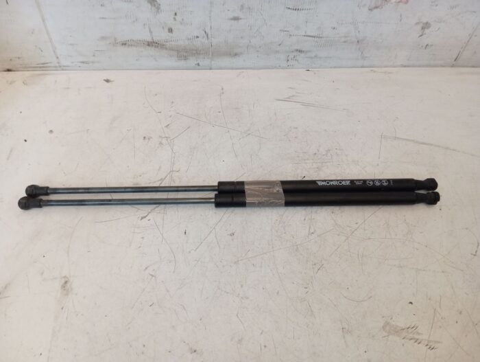 Amortiguadores Porton maletero Peugeot 206 2002